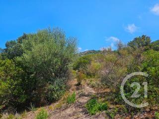 Appartement T4 à vendre  4 pièces - 74 m2 OLETTA - 202