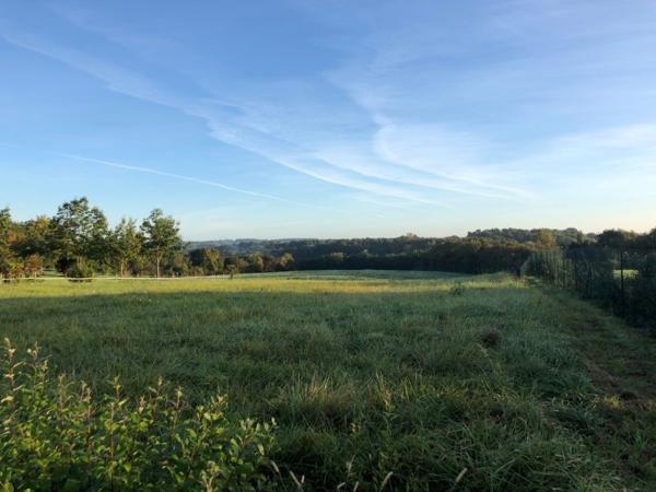 TERRAIN VIABILISE AVEC VUE DOMINANTE