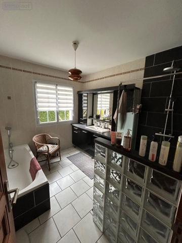 Maison individuelle à vendre à Coteaux sur Loire dans l'Indre-et-Loire (37130), ref : 054/126