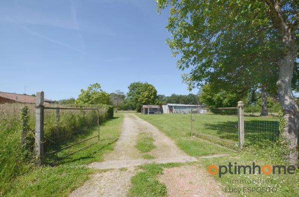 🏡 Projet de rénovation avec 2 595 m² de terrain au cœur de la campagne charentaise – Alloue 🌳