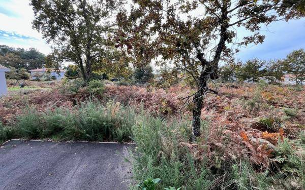 Terrain à vendre    Parentis-en-Born