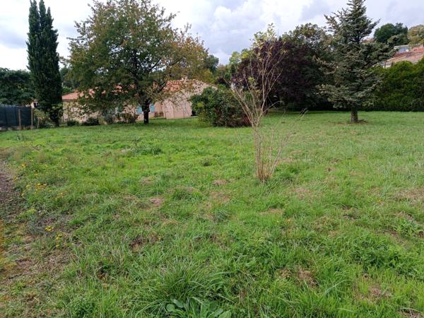 Terrain - 1569 m²