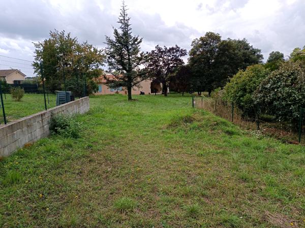Terrain - 1569 m²