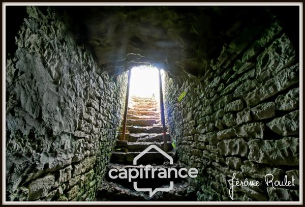 Maison en pierre à vendre 6 pièces Champigny-En-Rochereau (86) Terrain 2 800 m² avec dépendances