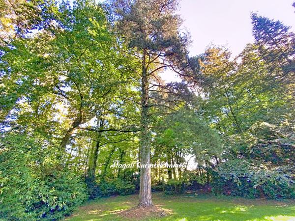 Demeure 8 pièces - 180 m² habitables dans son parc arboré de 1 ha 746