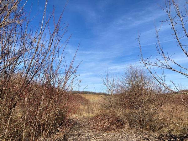 Terrain à Batir à vendre à Saint-Mards-en-Othe dans l'Aube (10160), ref : 1036102/5826