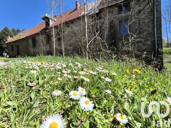 Maison à vendre 13 pièces 130 m² Crocq