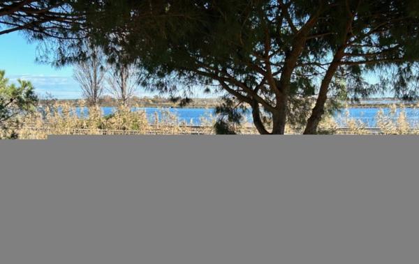 Vente Appartement P3 + Cellier - Petit Boucanet à rénover Le grau-du-roi   