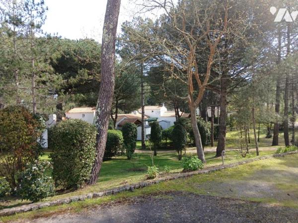 SAINT JEAN DE MONTS - En lisière de forêt