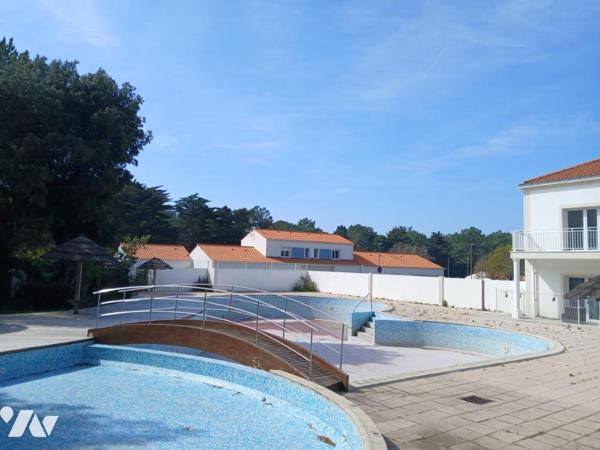 SAINT JEAN DE MONTS - En lisière de forêt