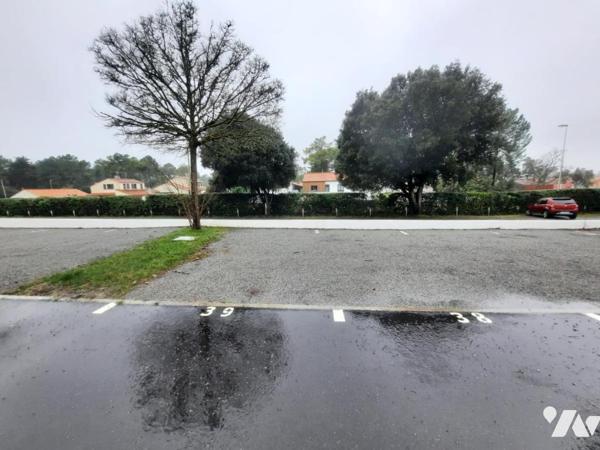 SAINT JEAN DE MONTS - En lisière de forêt