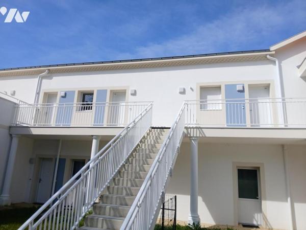 SAINT JEAN DE MONTS - En lisière de forêt