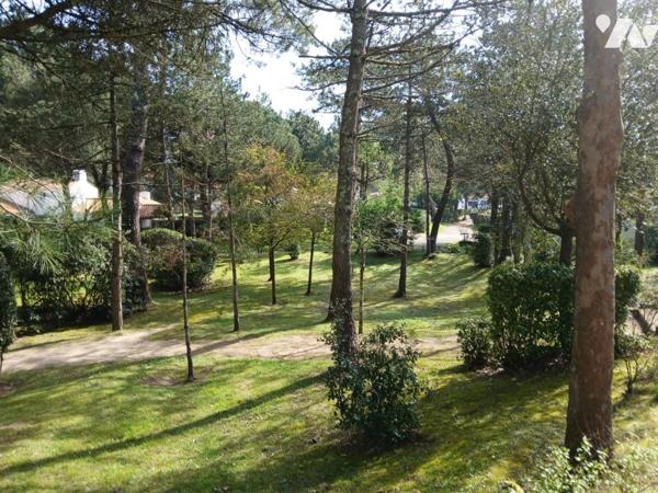 SAINT JEAN DE MONTS - En lisière de forêt