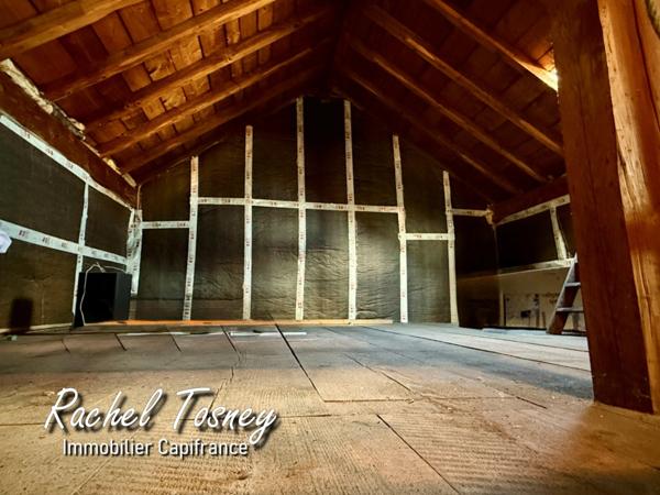 Maison Bourgeoise de ville à vendre 5 pièces BELFORT (90) avec GARAGE et JARDIN !