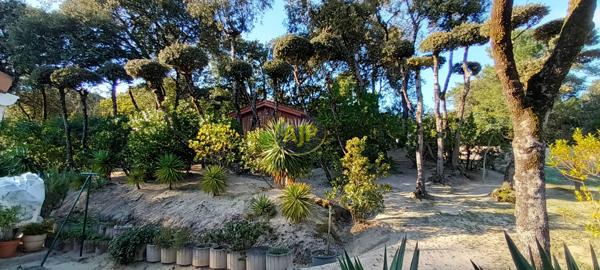 Vente maison Soulac Sur Mer : 565 000 € - AJP Soulac Immobilier