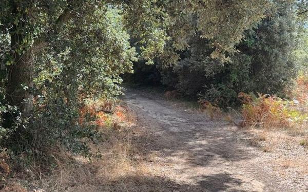 Terrain à vendre    Saint-Vincent-sur-Jard