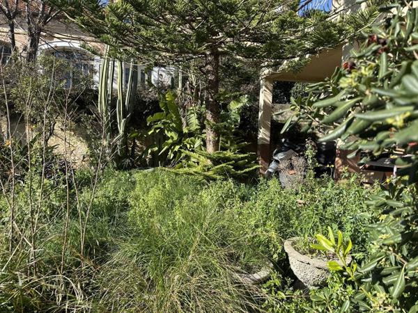 Toulon - Les Routes - Maison -Haute de Villa - jardin et terrasse