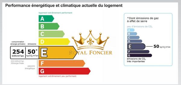 Vue sur la terrasse en bois arrière, et l'espace extérieur