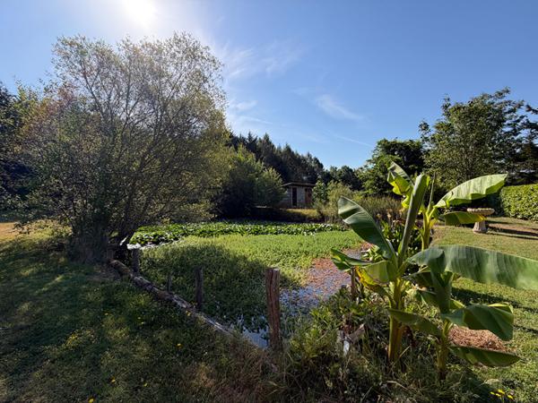 A vendre aux portes de Périgueux, dans un environnement campagne, Maison Notre Dame De Sanilhac 4 pièce(s) 125 m2