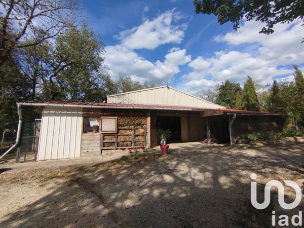 Maison à vendre 6 pièces 266 m² Nadaillac