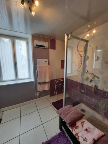 Fermette à vendre à Vicq-sur-Nahon dans l'Indre (36600), ref : 021/1414