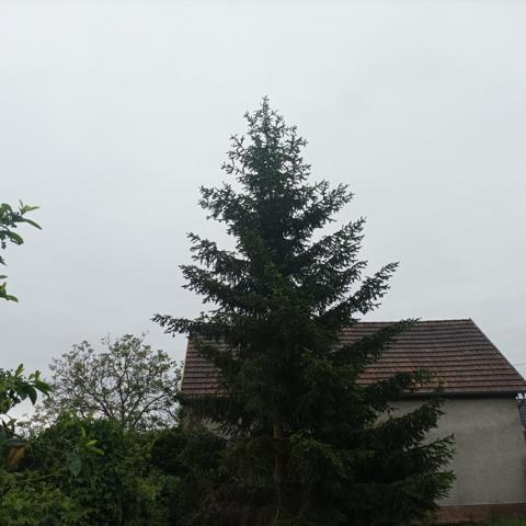 Terrain à HOERDT, 67720 - 325m²