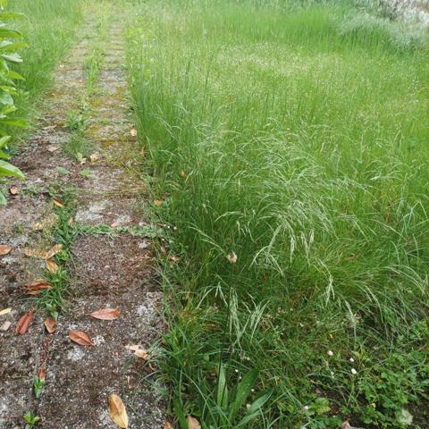 Terrain à HOERDT, 67720 - 325m²