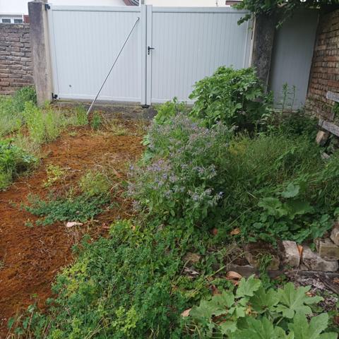 Terrain à HOERDT, 67720 - 325m²