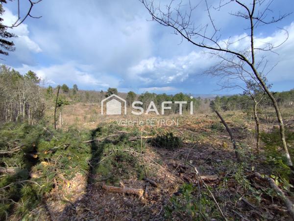 Spécial Investissement