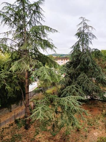 Appartement Lons Le Saunier 2 pièce(s) ascenseur balcon
