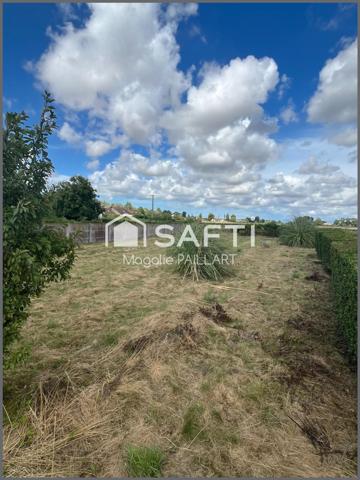 terrain constructible