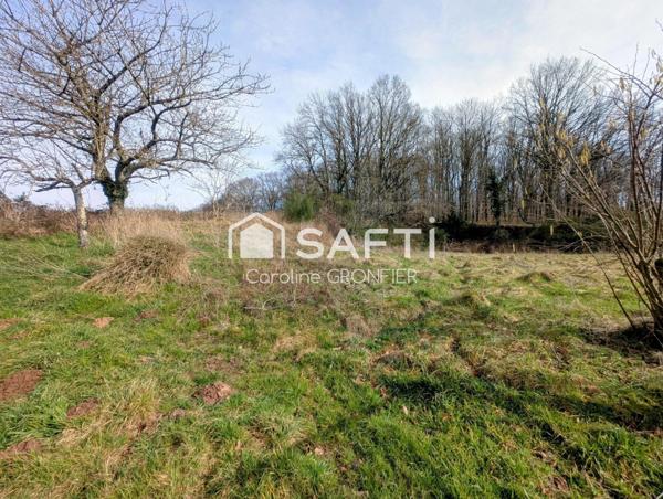 Maison avec dépendances et terrain - Ciry-le-Noble