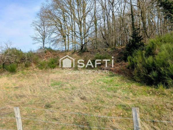 Maison avec dépendances et terrain - Ciry-le-Noble