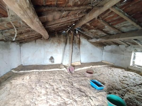 Maison en pierre à rénover sur terrain de 1 000m², Divatte sur Loire (44450)