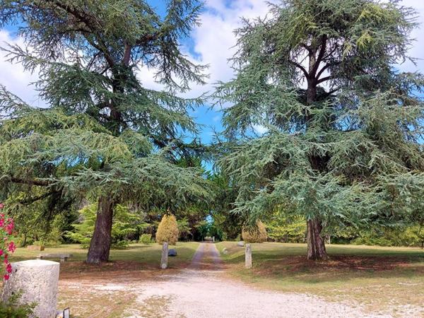 AGEN Nord : Demeure du 18ème  920 m² avec Dépendances - Grange - Ecurie- Piscine- Parc et terres 8 ha