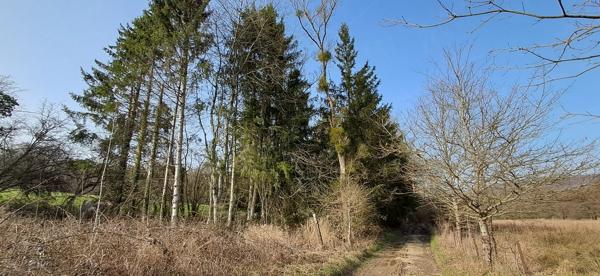 Terrain dans Gernelle