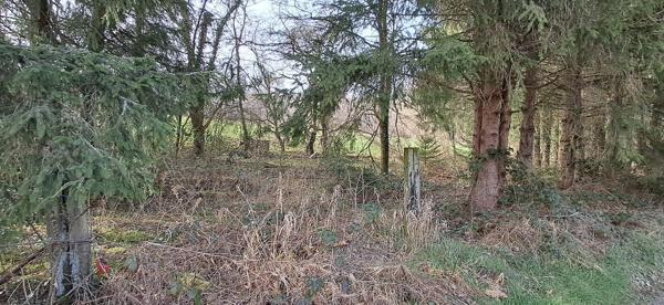 Terrain dans Gernelle