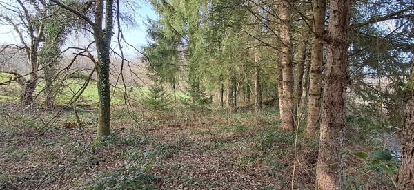 Terrain dans Gernelle