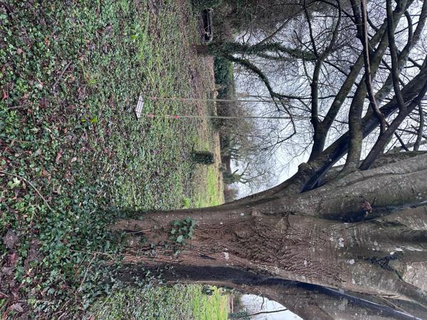 Terrain de loisir le long des halages