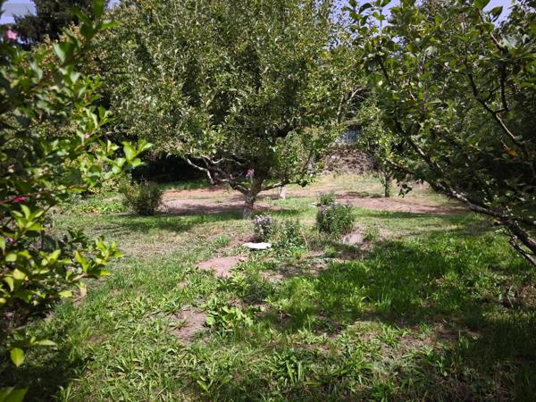 Achat - Maison Fontanges 15140 133 m 2 686 m 2