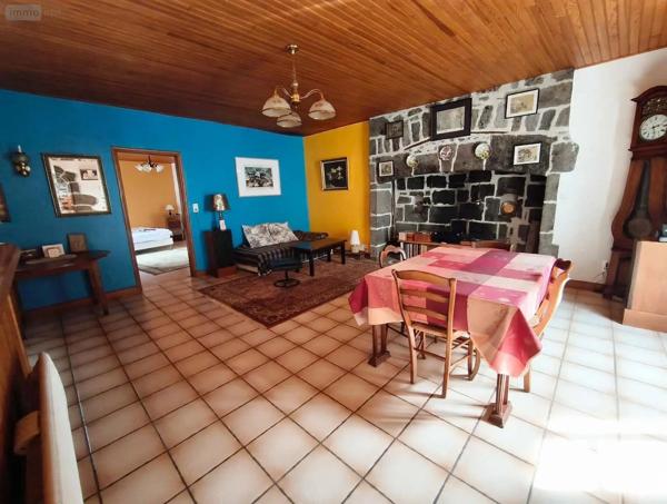 Achat - Maison Fontanges 15140 133 m 2 686 m 2