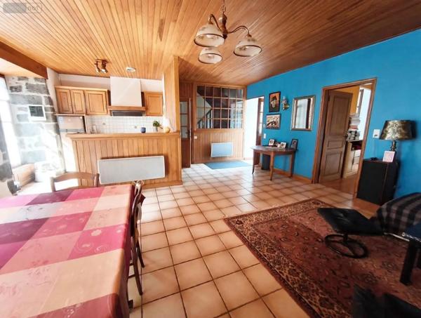 Achat - Maison Fontanges 15140 133 m 2 686 m 2
