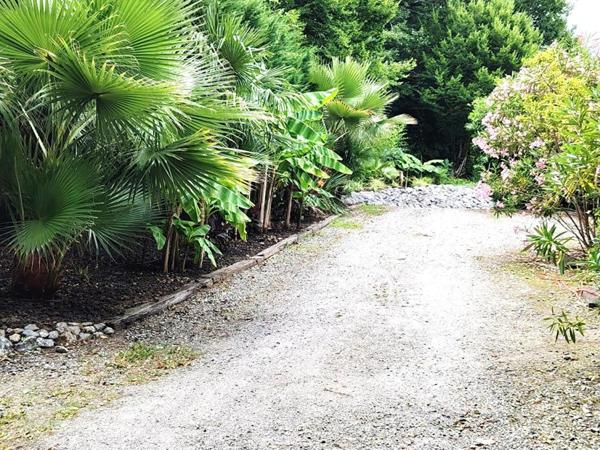 Ancienne Ferme Landaise 240 m2 - 2 logements - 3,7 hectares