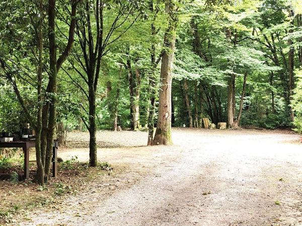 Ancienne Ferme Landaise 240 m2 - 2 logements - 3,7 hectares