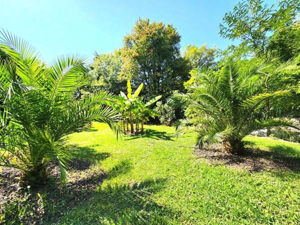 Ancienne Ferme Landaise 240 m2 - 2 logements - 3,7 hectares
