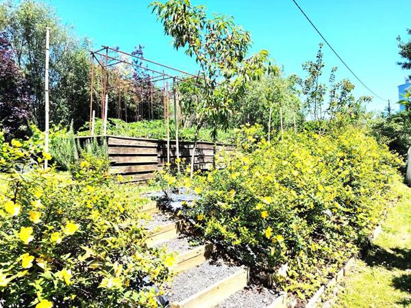 Ancienne Ferme Landaise 240 m2 - 2 logements - 3,7 hectares