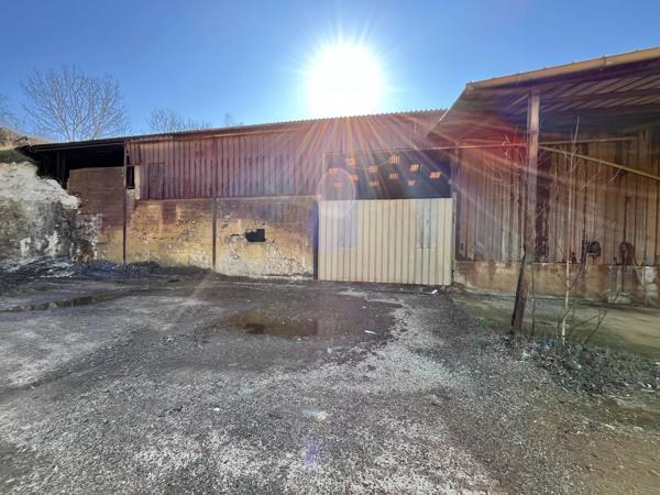 Vente                                                      Immeuble
                        
                                         3800 m2                     à Brenelle