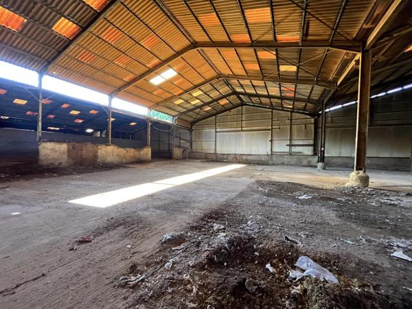Vente                                                      Immeuble
                        
                                         3800 m2                     à Brenelle