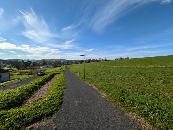 Terrain à vendre de 806,00 m² à SAINT MARTIN D'ESTREAUX (42)