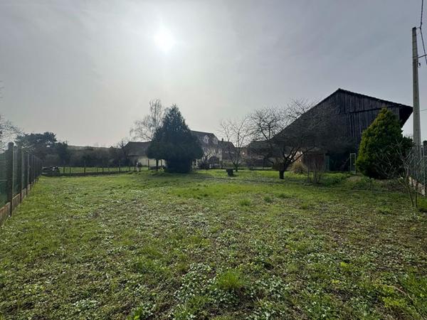 SUPERBE TERRAIN GUNDOLSHEIM
